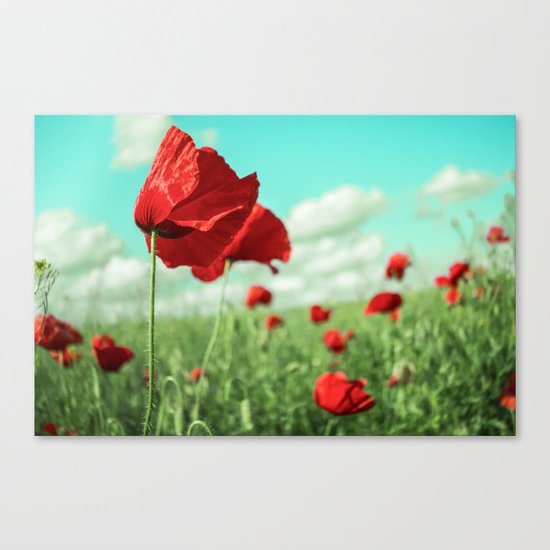 Poppy Canvas Print