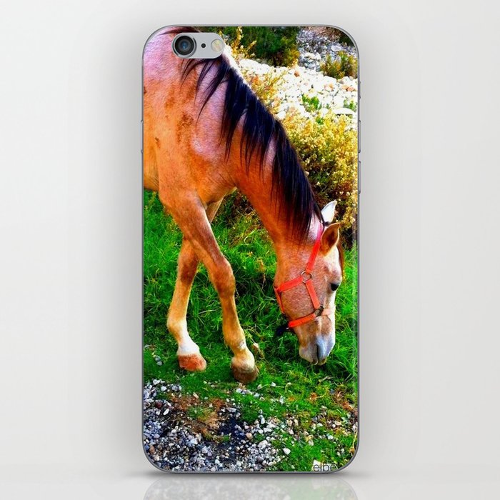 horse play iPhone Skin