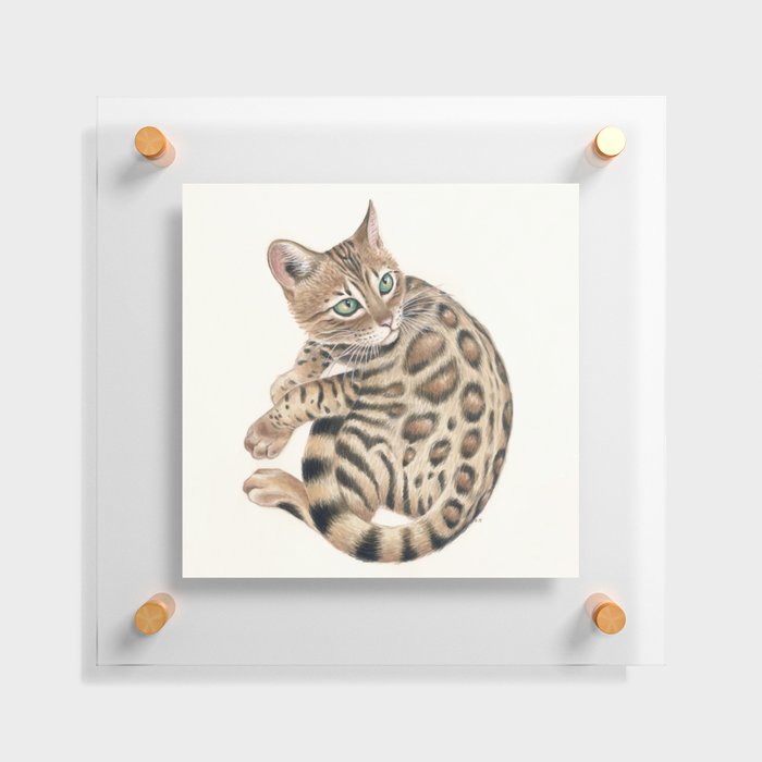 Cute Bengal Cat Kitten Tabby Spotted Pet Watercolor Art Floating Acrylic Print