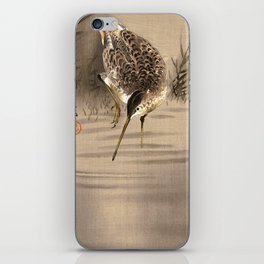 Snipe in Water by Ohara Koson iPhone Skin