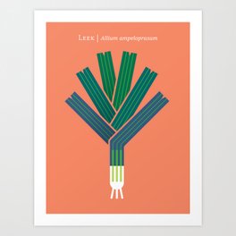 Vegetable: Leek Art Print