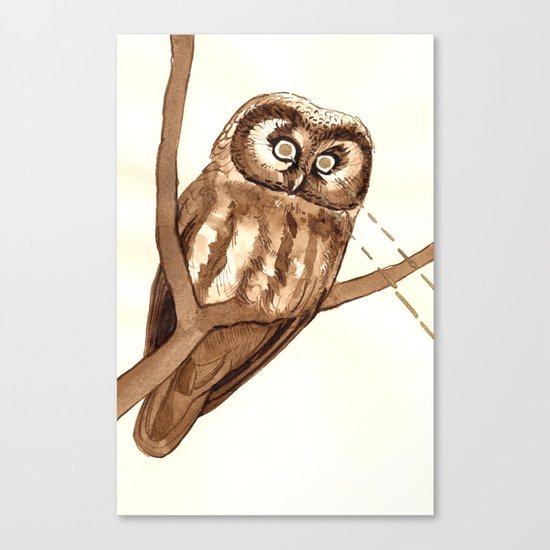 Laser Boreal Owl Canvas Print