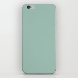 Pastel Aqua Blue Green Solid Color Hue Shade - Patternless iPhone Skin