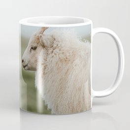 Sheeply in Love - Animal Photography from Iceland Mug