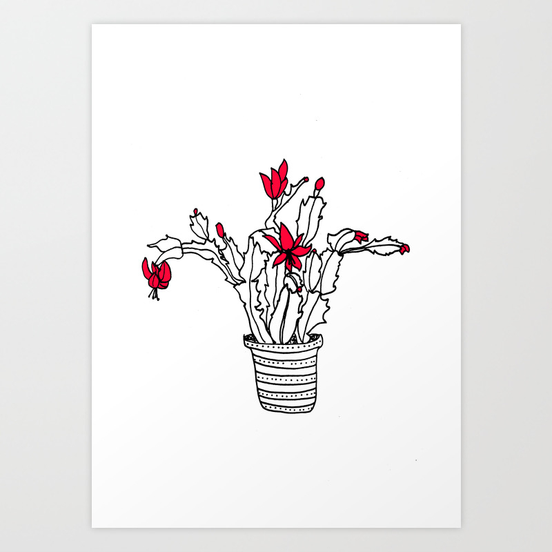 Christmas Cactus Succulent Line Drawing Plant Pot Art Print By Carissatanton Society6,Drow Girl Names