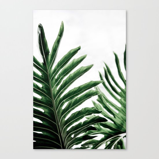 Leaves 1 Canvas Print