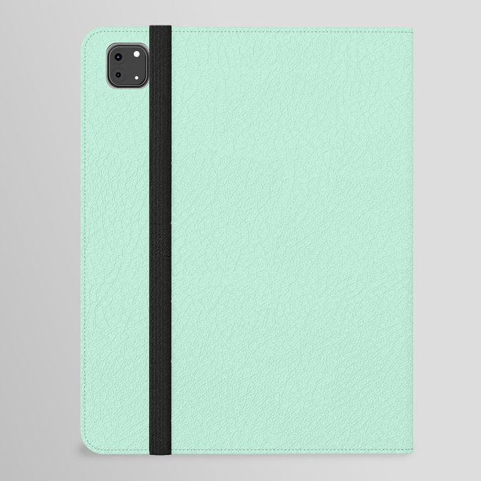 Mint Green Pastel Solid Color Block Spring Summer iPad Folio Case