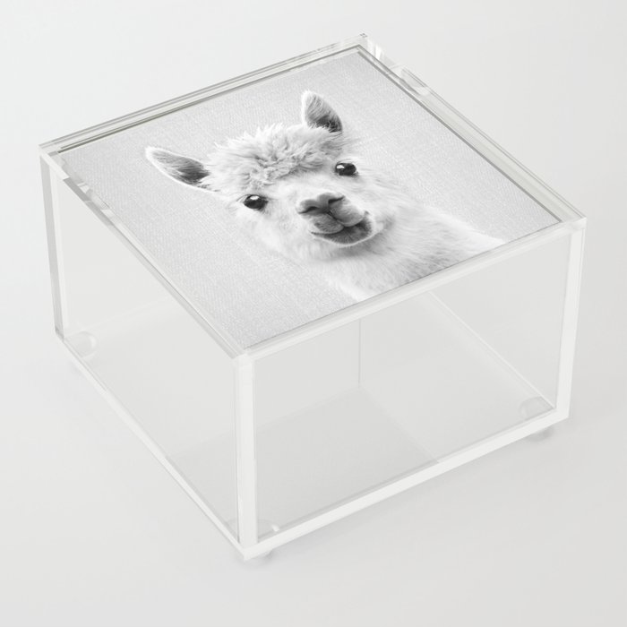 Llama - Black & White Acrylic Box