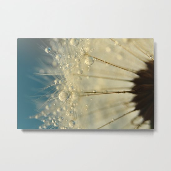 Dandelion with Blue Metal Print