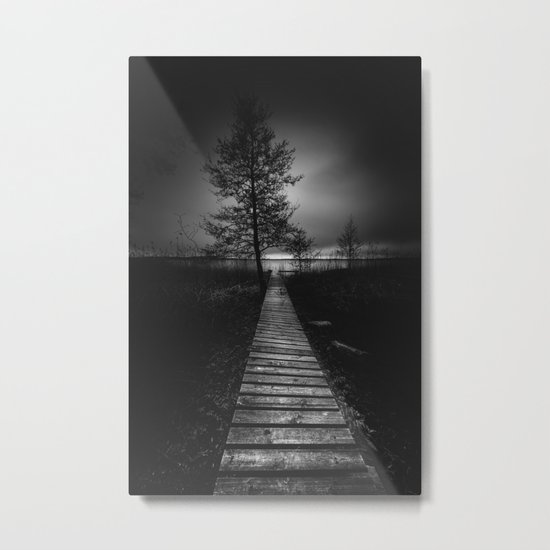On the wrong side of the lake 9 Metal Print
