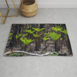 Punga forest Area & Throw Rug
