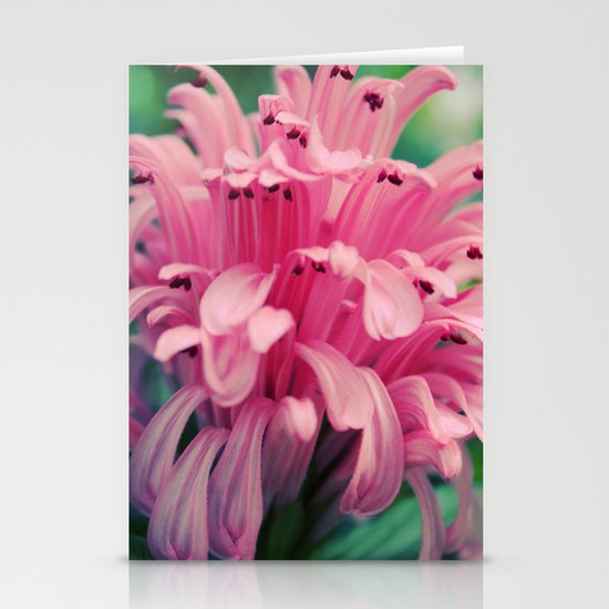 Pink! Stationery Cards