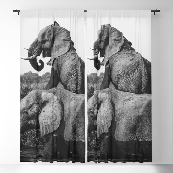 Blackout Curtain
