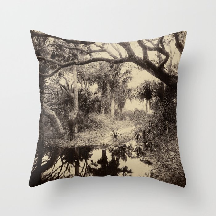 Throw Pillow