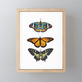 Butterflies Collection Framed Mini Art Print