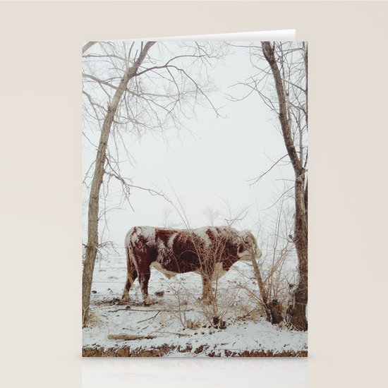 Maxwell Stationery Cards