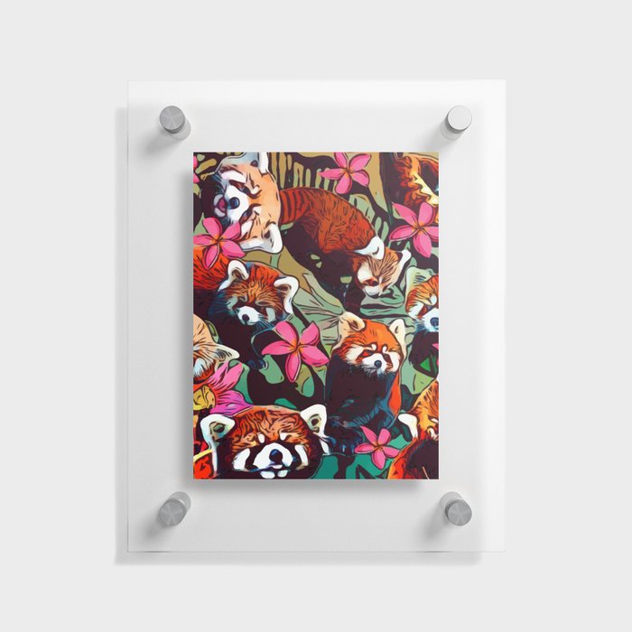 Red Panda  Floating Acrylic Print