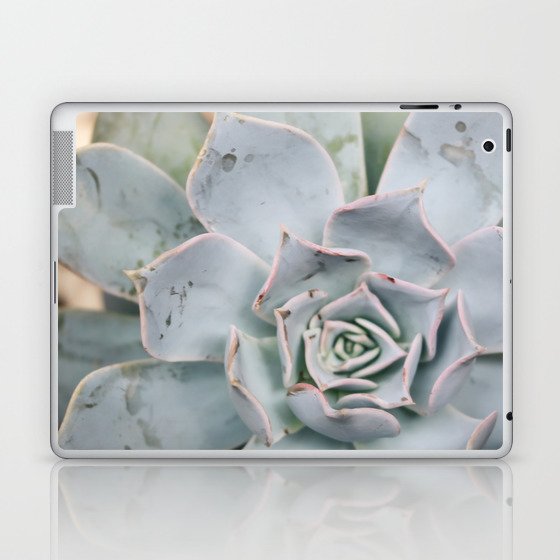 Mexico Photography - The Echeveria Lilacina Plant Laptop & iPad Skin