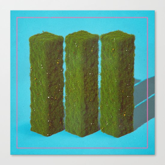 III (everyday 08.14.16) Canvas Print