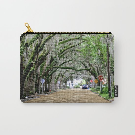 The Fountain of Youth 450th Year Celebration Carry-All Pouch
