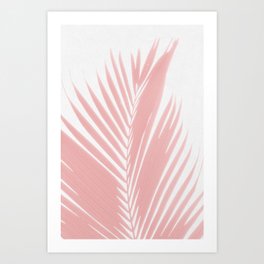 Pink Palm Leaves on White Art Print