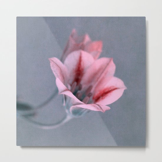 refuge Metal Print