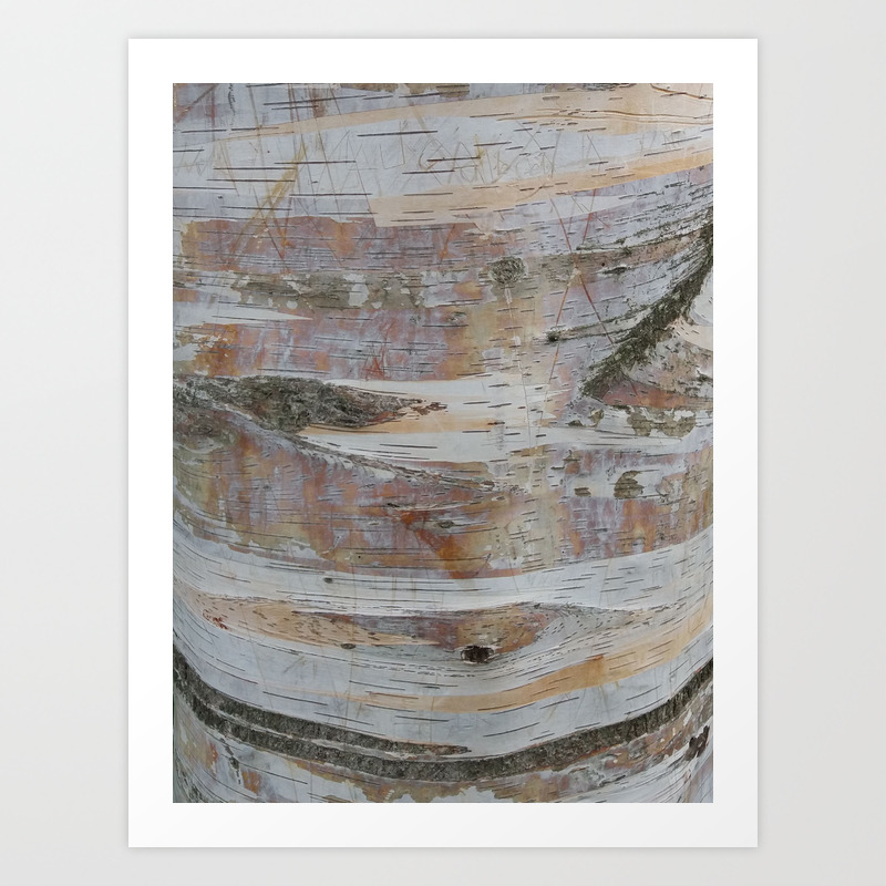 Silver Birch Tree Bark Natural Pastel Texture Art Print By Whilethereislight Society6