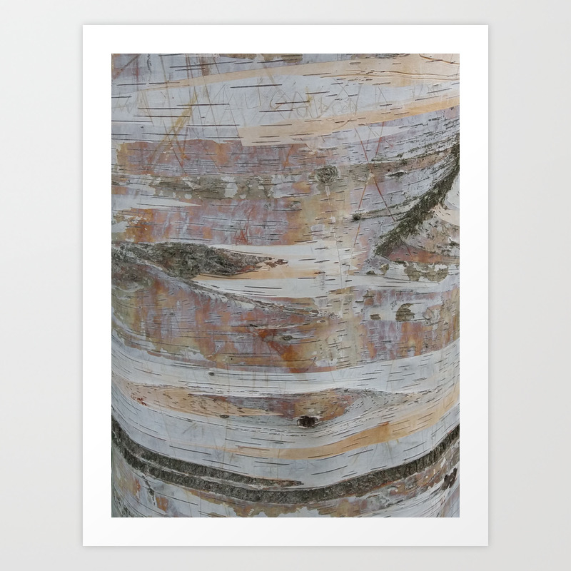Silver Birch Tree Bark Natural Pastel Texture Art Print By Whilethereislight Society6 Silver Birch Tree Bark Natural Pastel Texture Art Print By Whilethereislight Society6