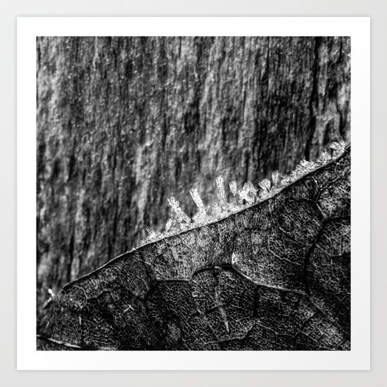 texture Art Print