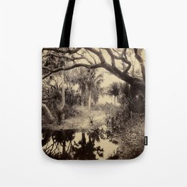 Live Oaks And Palmetto Everglades Florida 1886 - Vintage Photo By George Barker Tote Bag