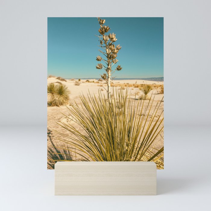 Soaptree Yucca Mini Art Print