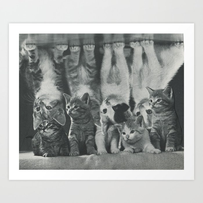 Book Of Practical Cats Art Print By Zanahoy Society6