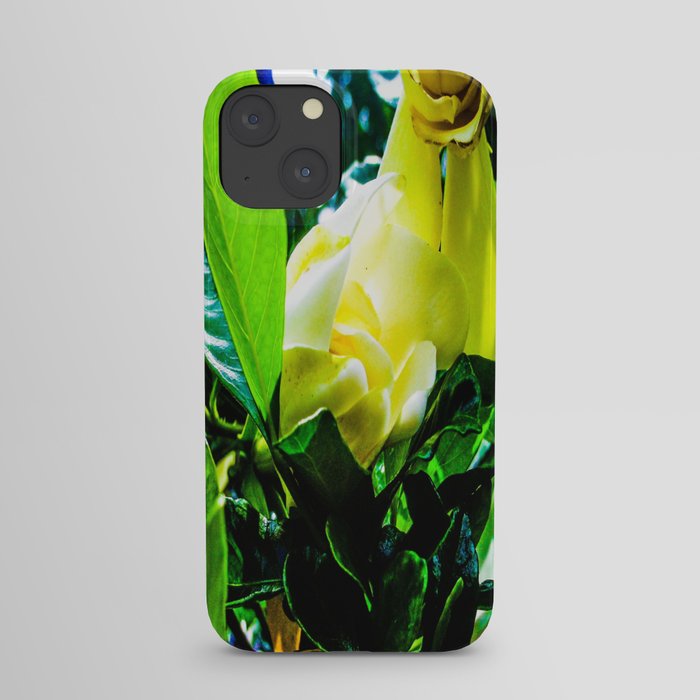 Gardenia in Bloom iPhone Case