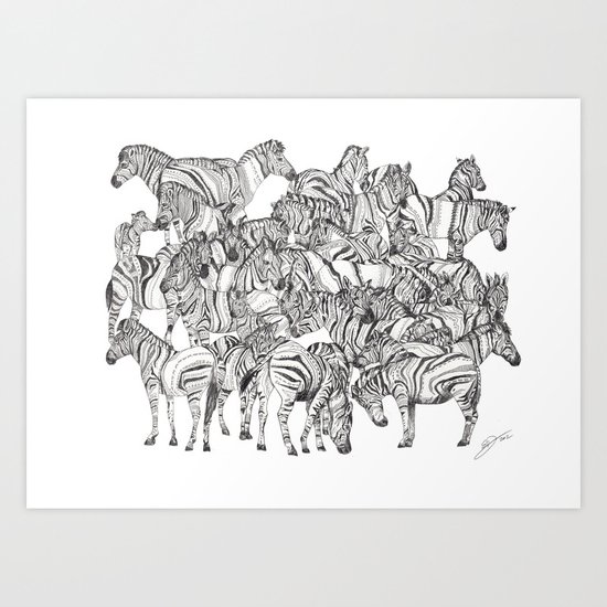 Zebras // Graphite Art Print