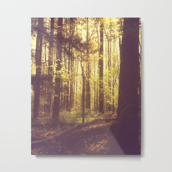 She Experienced Heaven on Earth Among the Trees Metal Print