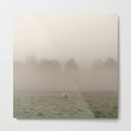 Early Morning in the Sheep Pasture Metal Print