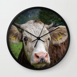 Swiss Cow 2 Wall Clock | Color, Cows, Switzerland, Wire, Travel, Green, Eartags, Grass, Kandersteg, Farming 