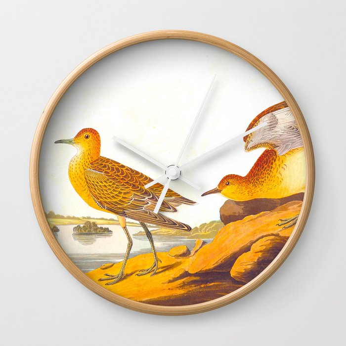 Buff-breasted Sandpiper Bird Wall Clock