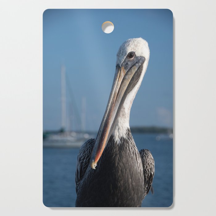 Bob The Pelican 3 Color Animal / Wildlife Photograph Cutting Board And More