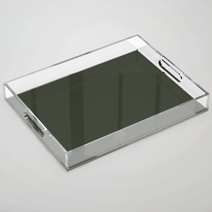 Mixtecan Alligator Lizard Green Acrylic Tray