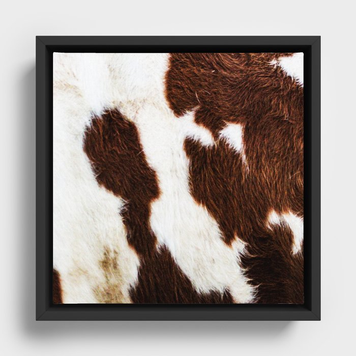 Framed cowhide online