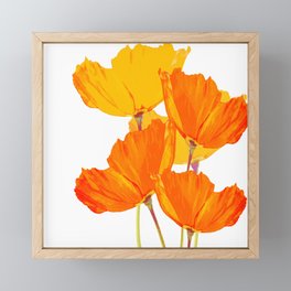 Orange and Yellow Poppies On A White Background #decor #society6 #buyart Framed Mini Art Print