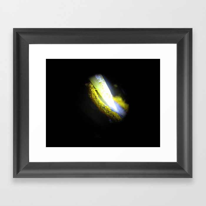 Daylily Anther with Pollen under a Microscope 1 Framed Art Print