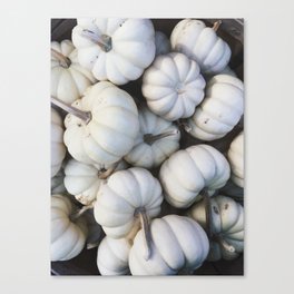 White Mini Pumpkins Canvas Print