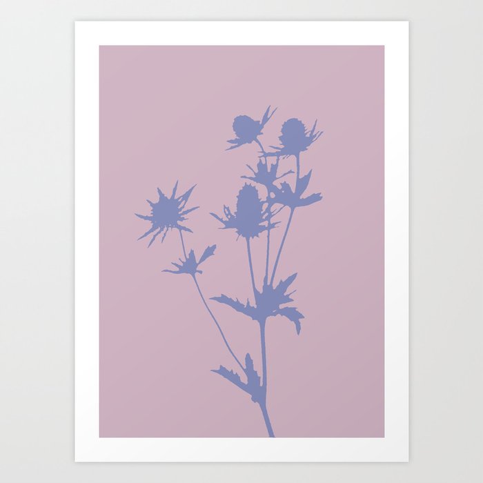 Blue thistle silhouette lilac Art Print
