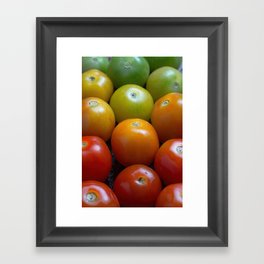 Tomatoes Framed Art Print