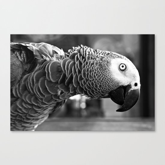 Pretty Bird Canvas Print