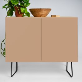 Dark Brown Pink Solid Color Pairs Pantone Toast 16-1331 TCX Shades of Brown Hues Credenza