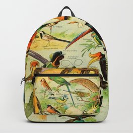 Adolphe Millot "Birds" 1. Backpack | Graphicdesign, Illustrations, Botanist, French, Vintageposter, Millot, Birds, Botanical, Scientific, Dictionary 