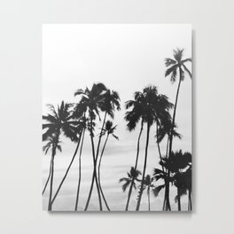 Tropical Black and White Nature Photography Metal Print | Beach, Nature, Photo, Palm Tree, Monochrome, Landscape, Oahu, Hawaii, Modern, Minimal 